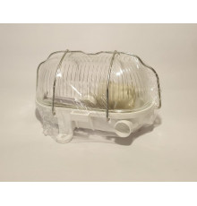 OVAL 60, ES / E27, Bulkhead Light Lamp, IP54, removable steel cage, glass cover OVAL 60, ES / E27, Bulkhead Light Lamp, IP54, removable steel cage, glass cover