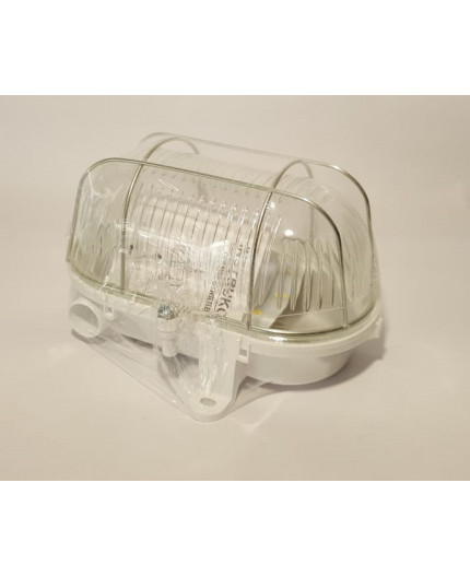 5W 220-240VAC 4000K OVAL 60 LED Bulkhead Light Lamp IP54 steel cage, glass cover 5W 220-240VAC 4000K OVAL 60 LED Bulkhead Light Lamp IP54 steel cage, glass cover