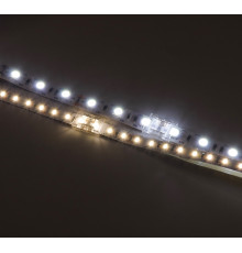 2 Pin Tape to Tape Connector for IP20 Single Colour 10mm COB/SMD, no soldering 2 Pin Tape to Tape Connector for IP20 Single Colour 10mm COB/SMD, no soldering