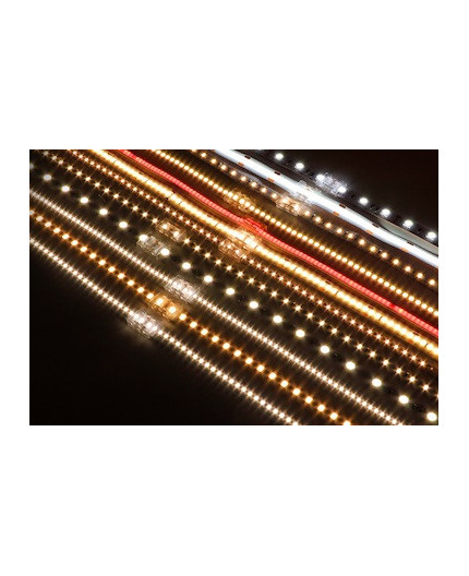 2 Pin Tape to Power Connector for IP20 Single Colour 8mm COB/SMD, no soldering 2 Pin Tape to Power Connector for IP20 Single Colour 8mm COB/SMD, no soldering