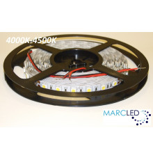 24VDC LED Flexible Strip (tape) 4000-4500K SMD5060, 14.4W/m, 60 LEDs/m, IP20, 5m  (5000mm)