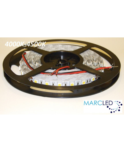 24VDC LED Flexible Strip (tape) 4000-4500K SMD5060, 14.4W/m, 60 LEDs/m, IP20, 5m (5000mm) 24VDC LED Flexible Strip (tape) 4000-4500K SMD5060, 14.4W/m, 60 LEDs/m, IP20, 5m (5000mm)