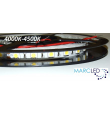 24VDC LED Flexible Strip (tape) 4000-4500K SMD5060, 14.4W/m, 60 LEDs/m, IP20, 5m  (5000mm)