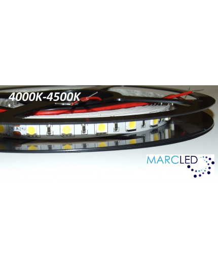 24VDC LED Flexible Strip (tape) 4000-4500K SMD5060, 14.4W/m, 60 LEDs/m, IP20, 5m (5000mm) 24VDC LED Flexible Strip (tape) 4000-4500K SMD5060, 14.4W/m, 60 LEDs/m, IP20, 5m (5000mm)