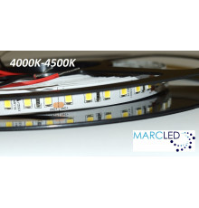 24VDC LED Flexible Strip 4000K-4500K SMD2835, 16W/m, 120 LEDs/m, IP20, 5m a roll  (5000mm, 80W, 600LEDs)