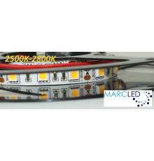12VDC LED Strip 2700K SMD5060, 14.4W, 60 LEDs, IP20, 1m (1000mm) 12VDC LED Strip 2700K SMD5060, 14.4W, 60 LEDs, IP20, 1m (1000mm)