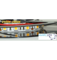 12VDC LED Strip 2700K SMD5060, 14.4W, 60 LEDs, IP20, 1m  (1000mm)