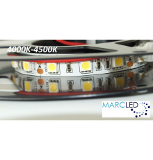 12VDC LED Strip 4000K-4500K SMD5060, 14.4W, 60 LEDs, IP20, 5m (1000mm) 12VDC LED Strip 4000K-4500K SMD5060, 14.4W, 60 LEDs, IP20, 5m (1000mm)