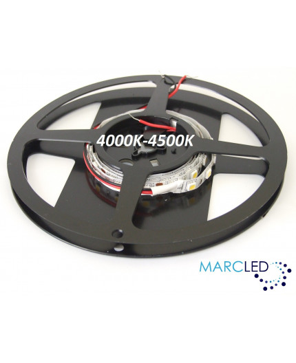 12VDC LED Strip 4000K-4500K SMD5060, 14.4W, 60 LEDs, IP20, 5m (1000mm) 12VDC LED Strip 4000K-4500K SMD5060, 14.4W, 60 LEDs, IP20, 5m (1000mm)