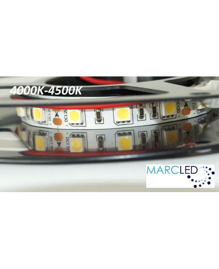 12VDC LED Strip 4000K-4500K SMD5060, 14.4W, 60 LEDs, IP20, 5m (1000mm) 12VDC LED Strip 4000K-4500K SMD5060, 14.4W, 60 LEDs, IP20, 5m (1000mm)