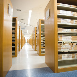 0.7m 24W 3000/4000/6500K 220-240VAC LINCEA Linear LED Luminaire 0.7m 24W 3000/4000/6500K 220-240VAC LINCEA Linear LED Luminaire