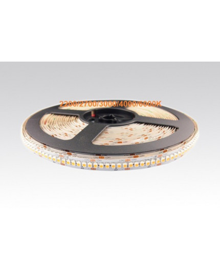 24VDC LED tape BLUE 19.2W/m 240LED/m 5m (96W) IP20 SMD3528 24VDC LED tape BLUE 19.2W/m 240LED/m 5m (96W) IP20 SMD3528