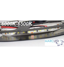 24VDC LED Flexible Strip daylight 6000K-6500K SMD2835, IP20, 5m a roll (80W, 600LEDs) 24VDC LED Flexible Strip daylight 6000K-6500K SMD2835, IP20, 5m a roll (80W, 600LEDs)