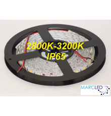 24VDC SMD5050 LED Flexible Strip warm white 3000K, IP65 (silicon glue coated), 5m  (72W, 300LEDs)