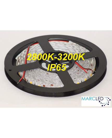 24VDC LED tape, warm white 3000K, 14.4W/m, 60LED/m, IP54, 5m (72W, 300 LED), SMD5050 24VDC LED tape, warm white 3000K, 14.4W/m, 60LED/m, IP54, 5m (72W, 300 LED), SMD5050