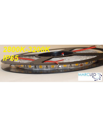 24VDC SMD5050 LED Flexible Strip warm white 3000K, IP65 (silicon glue coated), 5m (72W, 300LEDs) 24VDC SMD5050 LED Flexible Strip warm white 3000K, IP65 (silicon glue coated), 5m (72W, 300LEDs)